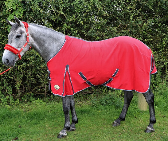 Ruggles Polar Fleece Rug - Red (6ft 9)