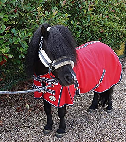 Ruggles Shetland Polar Fleece Rug - Red (4ft 9)