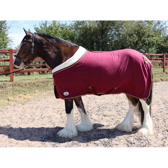 Ruggles HH Show Rug - Burgundy (6ft)